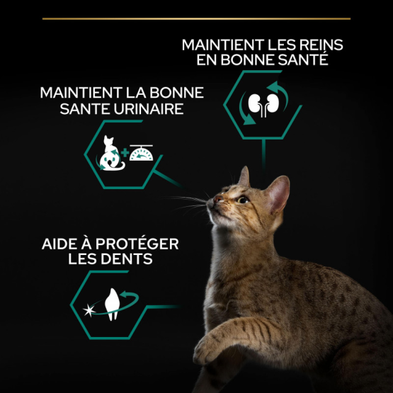 Croquettes Pro Plan Chat St Rilis Renal Plus Saveur Dinde