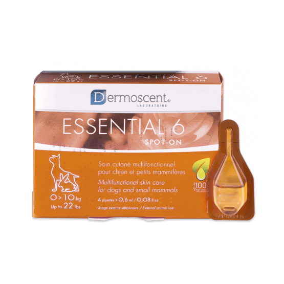 Dermoscent Essential 6 Chien