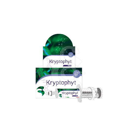 Kryptophyt - placedesvetos.com