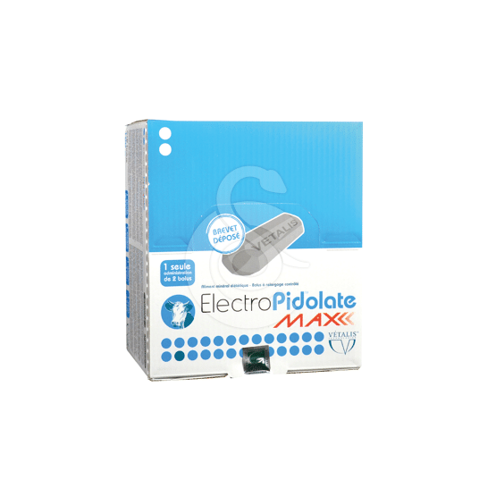 Electropidolate Max - placedesvetos.com