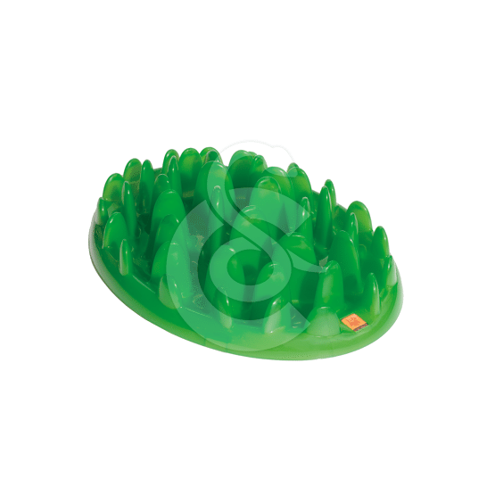 Gamelle Green Slow Dog pour chien - placedesvetos.com