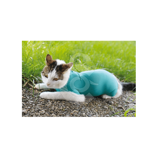 Gilet CatBody VetMedCare pour chat - placedesvetos.com