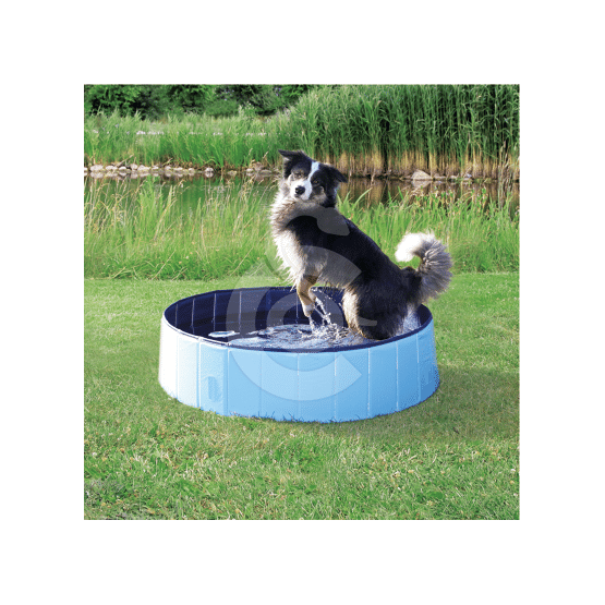 Piscine pour chien - placedesvetos.com