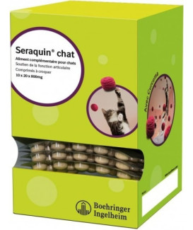 Seraquin Chat