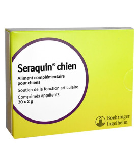 Seraquin Chien