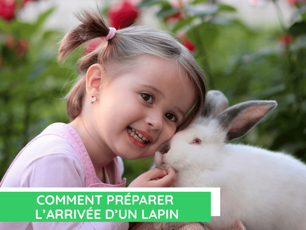 Adopter un lapin: tout pour bien préparer son arrivée
