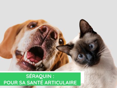  Seraquin pour la santé articulaire de votre animal